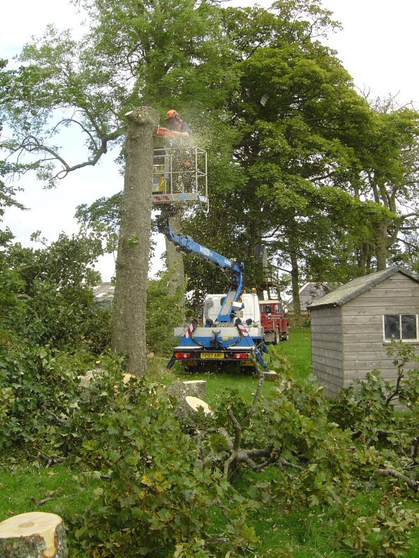 6th September 2008 128